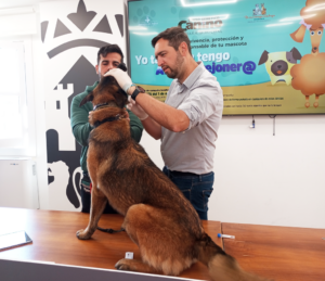Censo ADN canino Torrejón