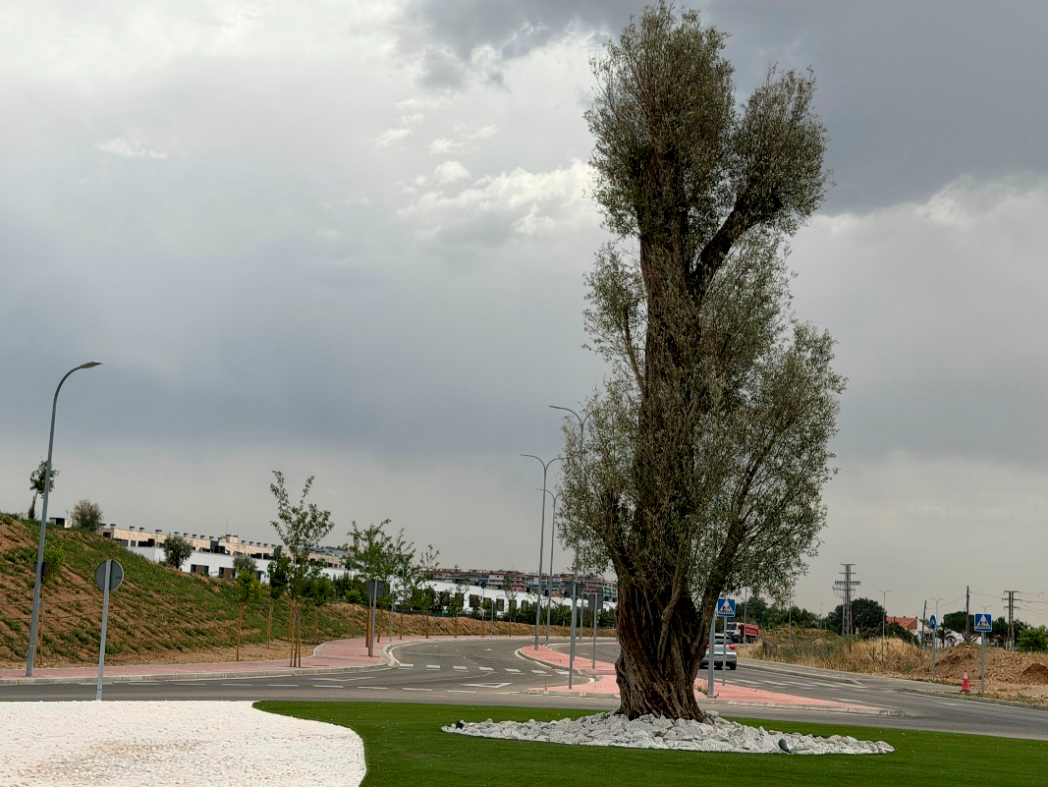 Renaturalización Torrejón